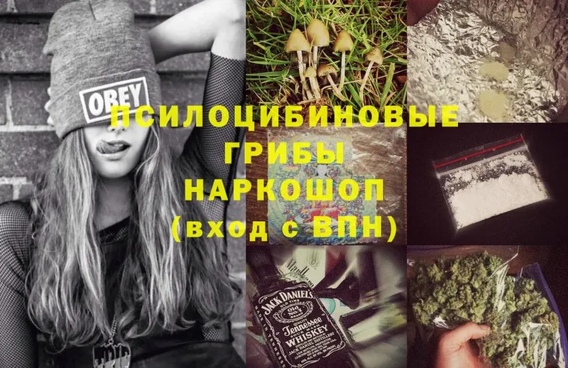 Псилоцибиновые грибы MAGIC MUSHROOMS Буинск